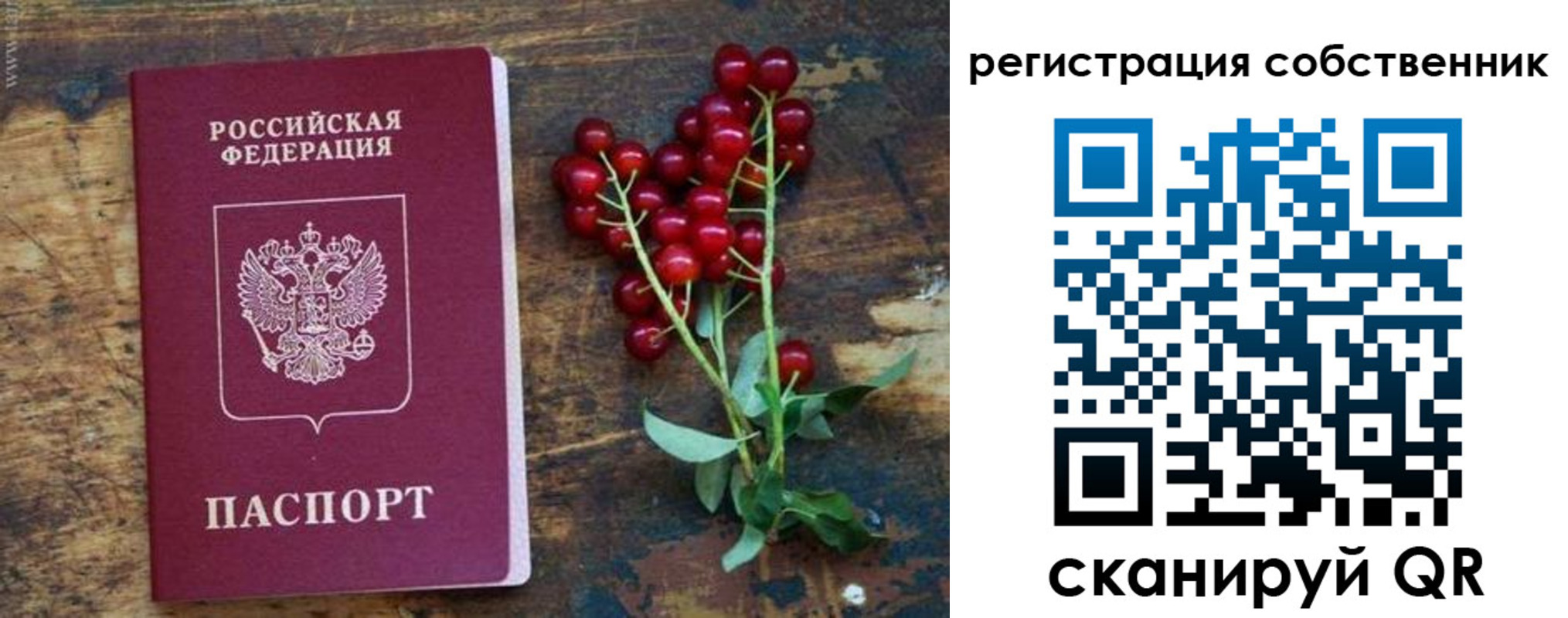 регистрация для дет. сада в Острове